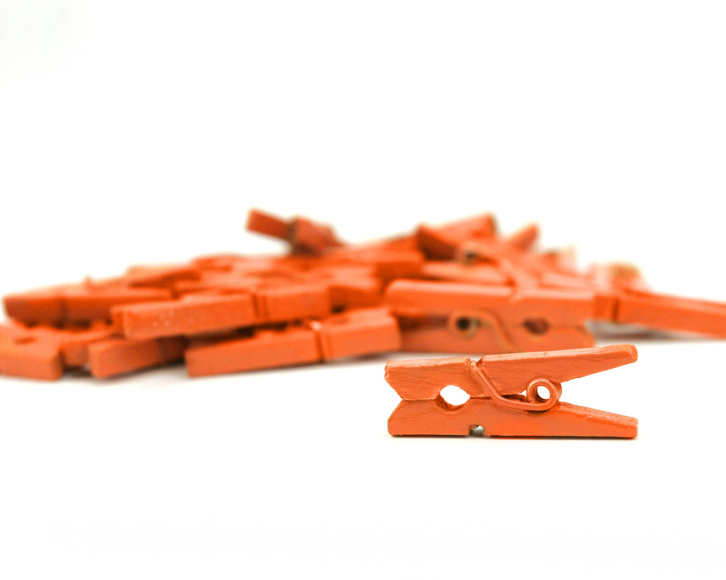 100 Mini Clothespins - 1 1/8 Wooden Clips - Mixed Colors - Craft
