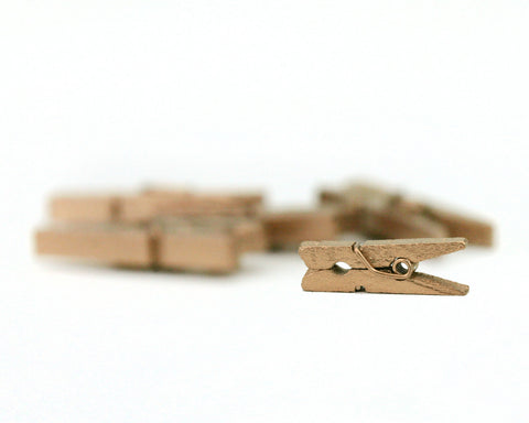 Small Clothespins Jacobean (12pcs)