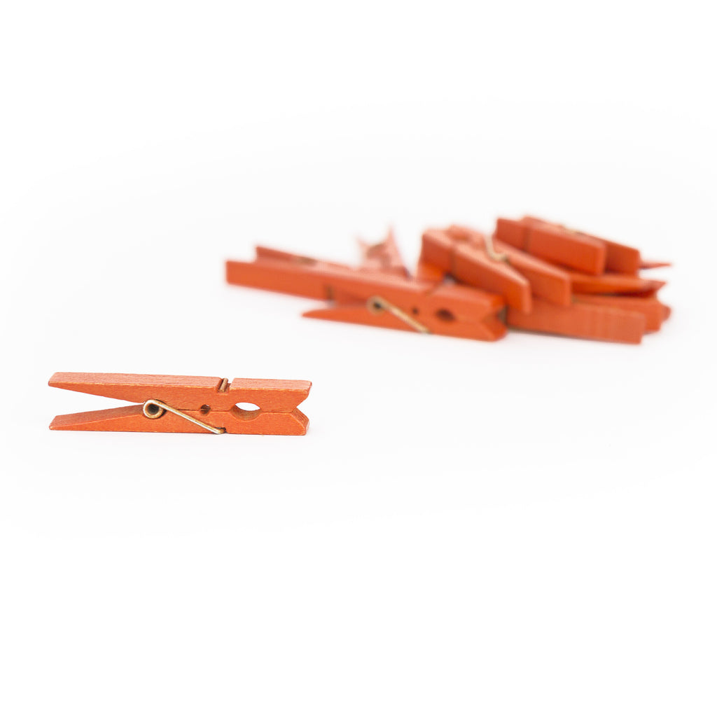Small Clothespins - Orange (12 pieces)